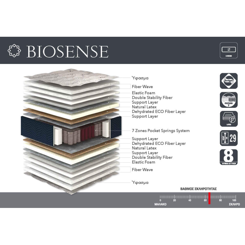 BIOSENSE- ΑΝΑΤΟΜΙΚΟ ΣΤΡΩΜΑ