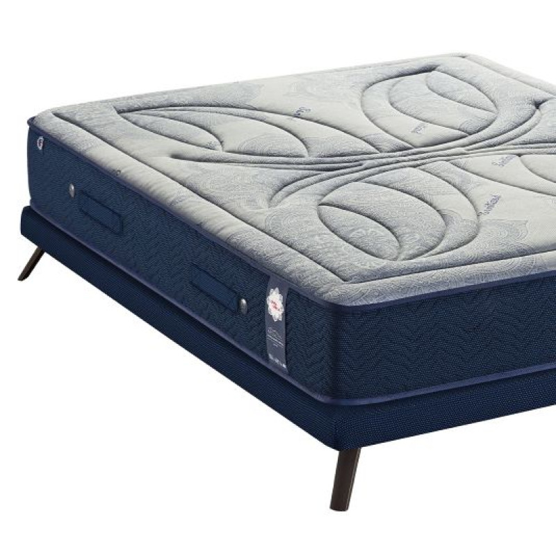 BIOSENSE- ΑΝΑΤΟΜΙΚΟ ΣΤΡΩΜΑ