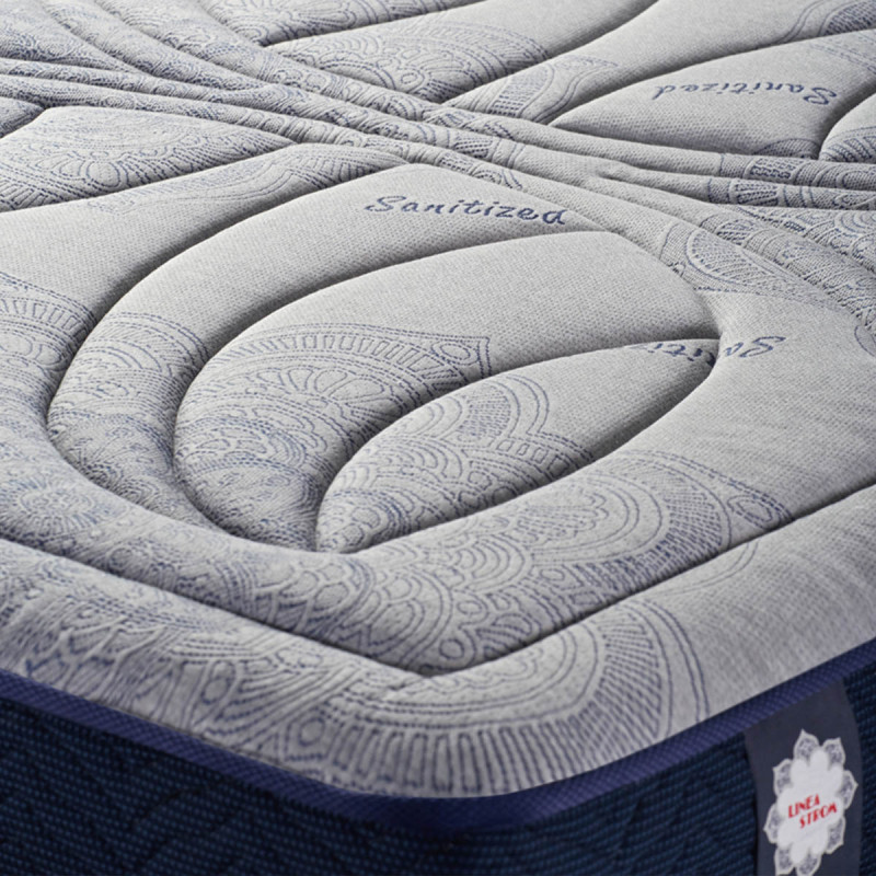 BIOSENSE- ΑΝΑΤΟΜΙΚΟ ΣΤΡΩΜΑ