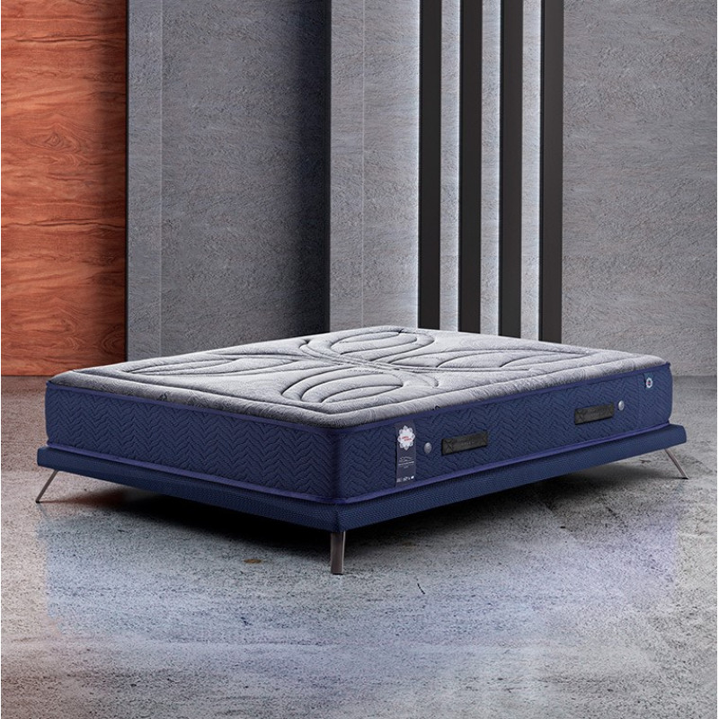 BIOSENSE- ΑΝΑΤΟΜΙΚΟ ΣΤΡΩΜΑ