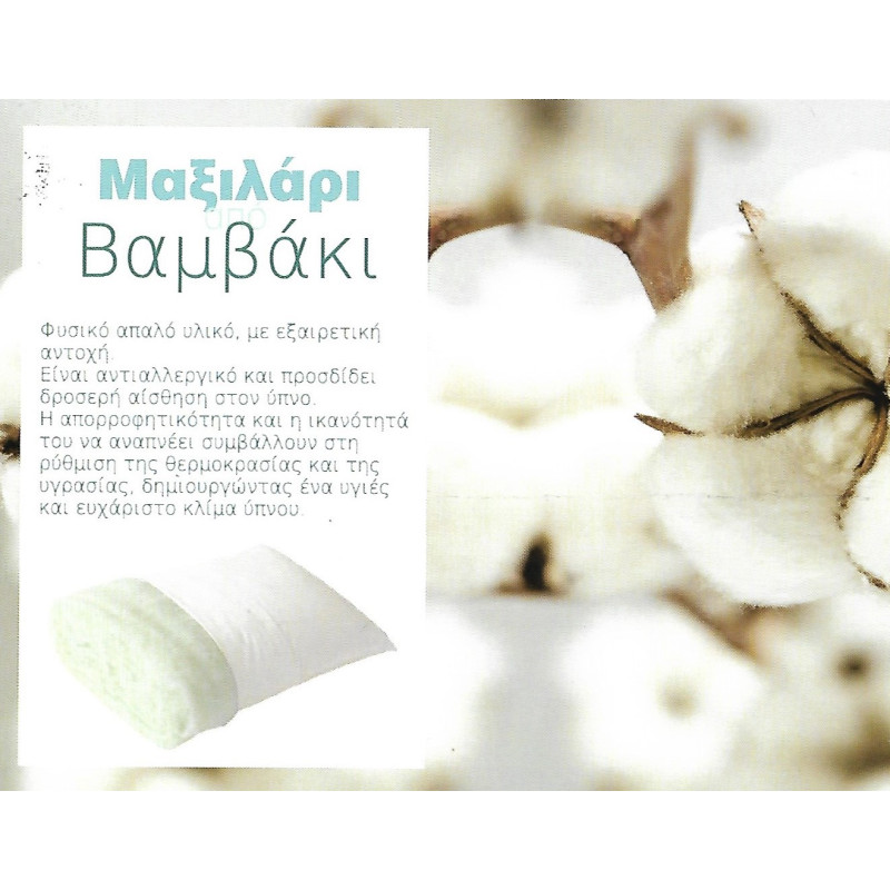ΜΑΞΙΛΑΡΙ ΑΠΟ ΒΑΜΒΑΚΙ
